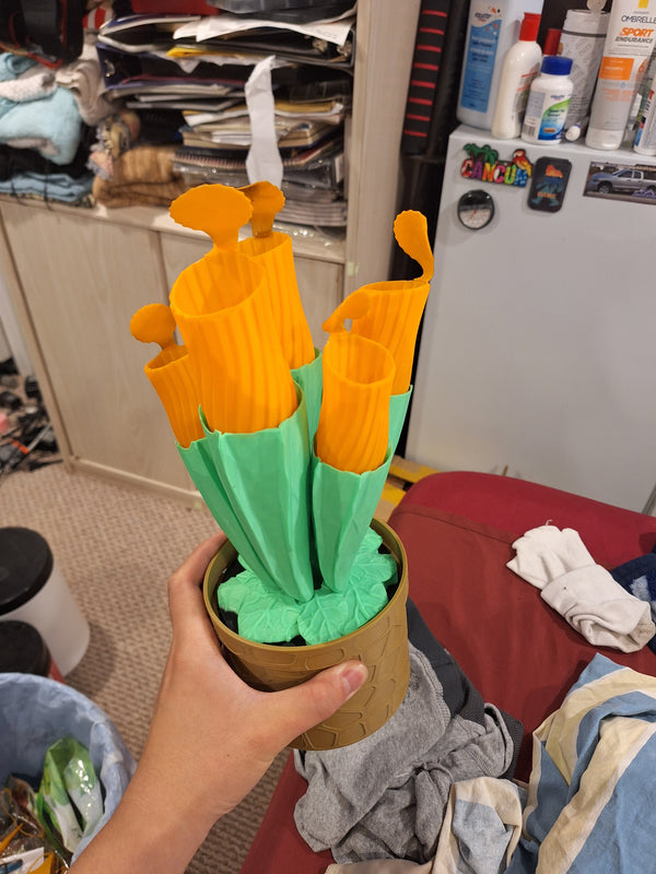 Self watering pitcher